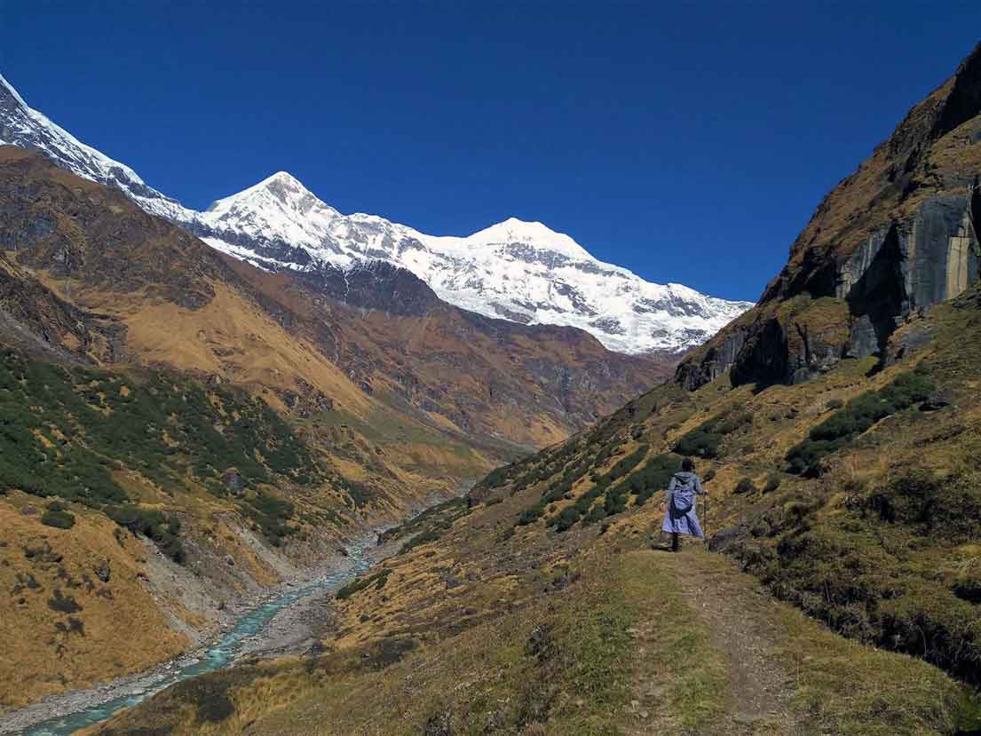 Pindari Glacier Image Tourmyholiday