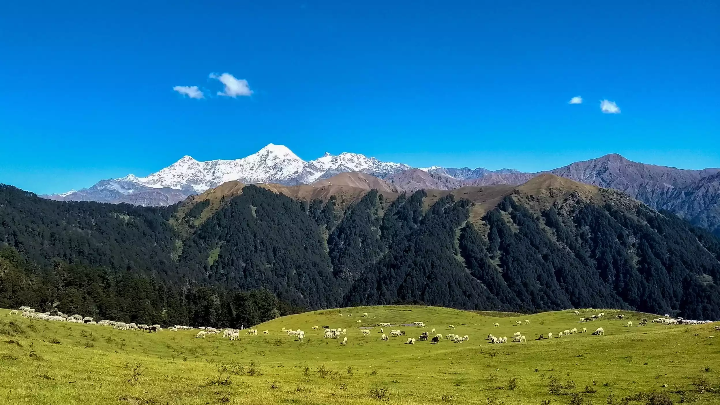 Dayara Bugyal Image Tourmyholiday