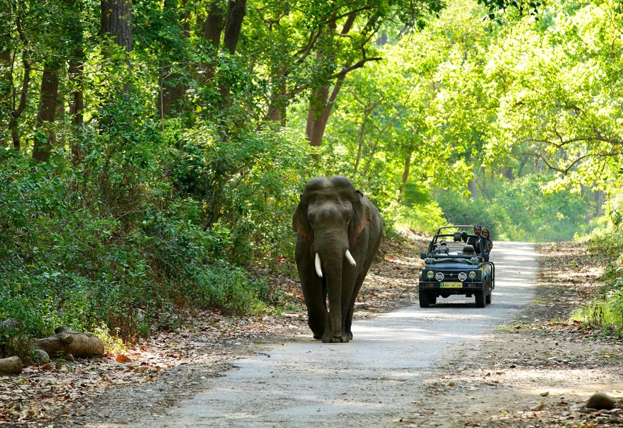Jim Corbett Image Tourmyholiday