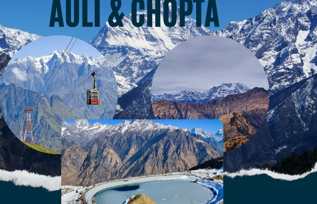 chopta auli tour package