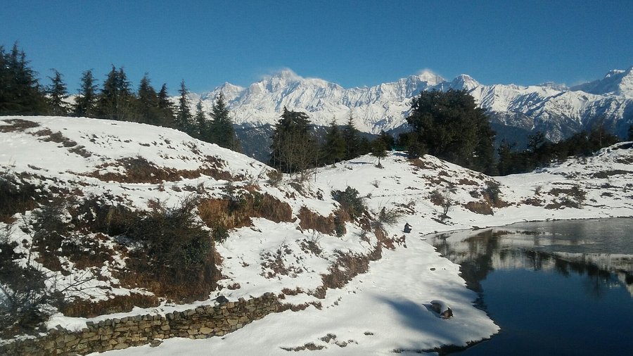 chopta auli tour package