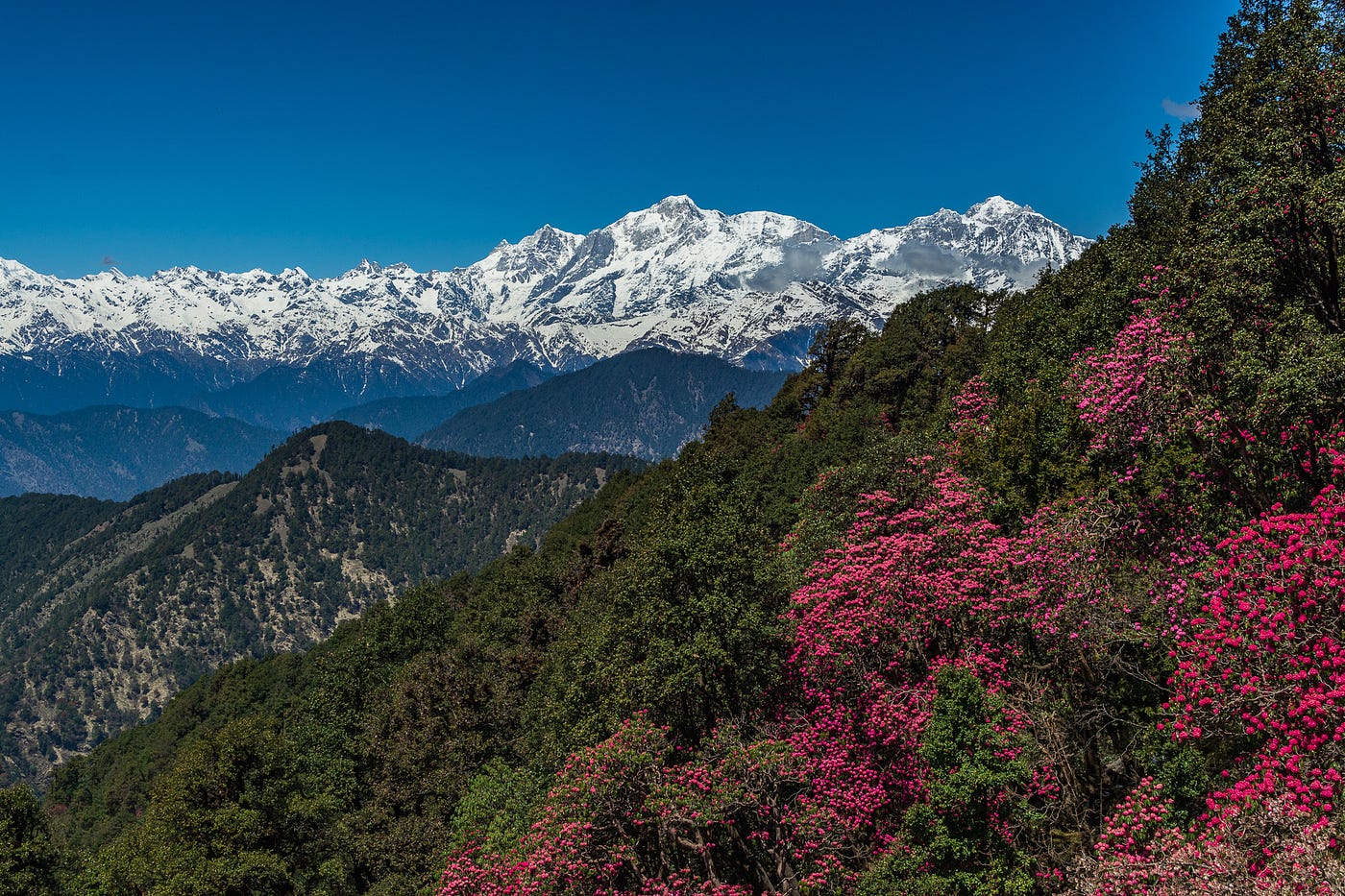 Panoramic Views from Tungnath
