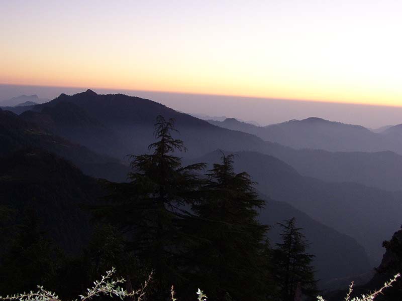 Deoban forest Chakrata