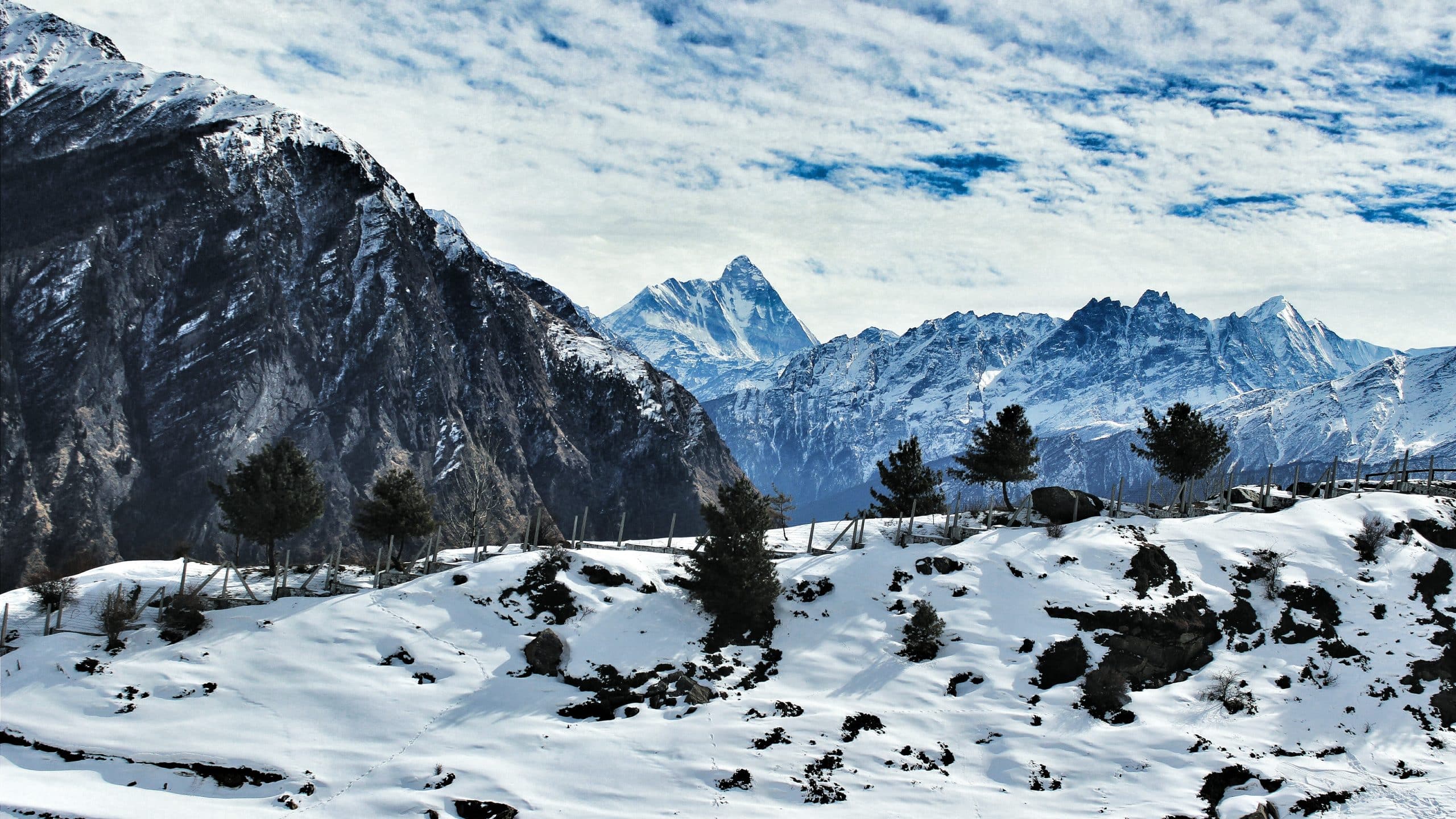 chopta tour package from delhi