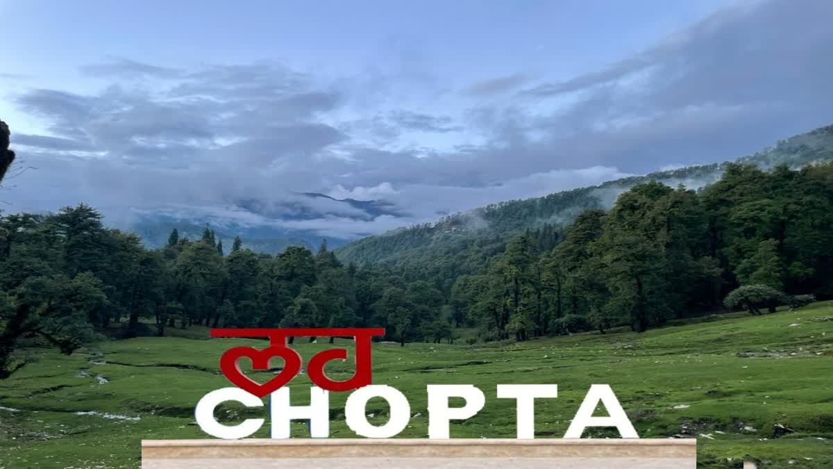 chopta tour package