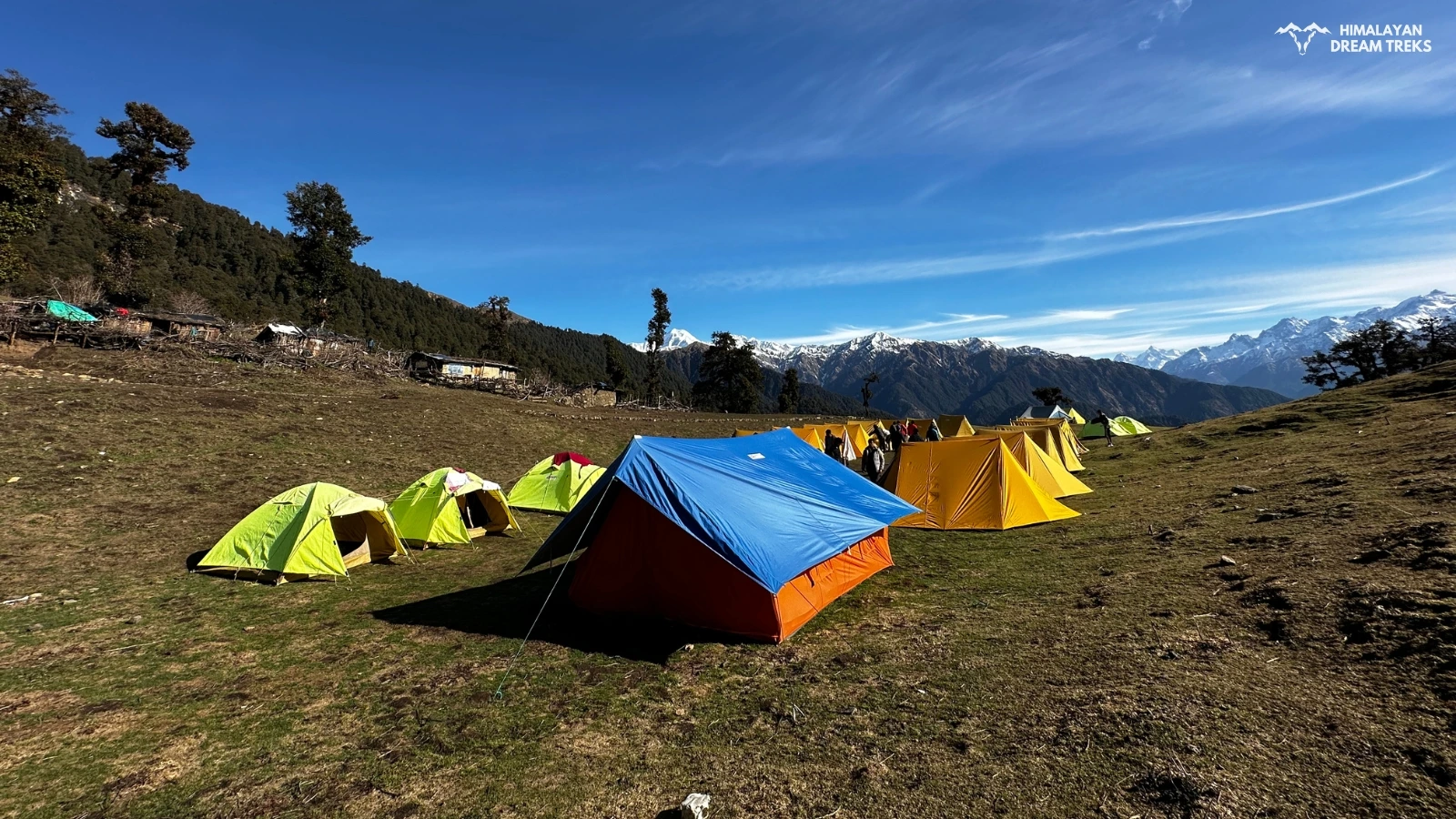 Camping at Dayara Bugyal