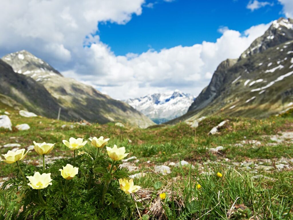 hampta pass tour package