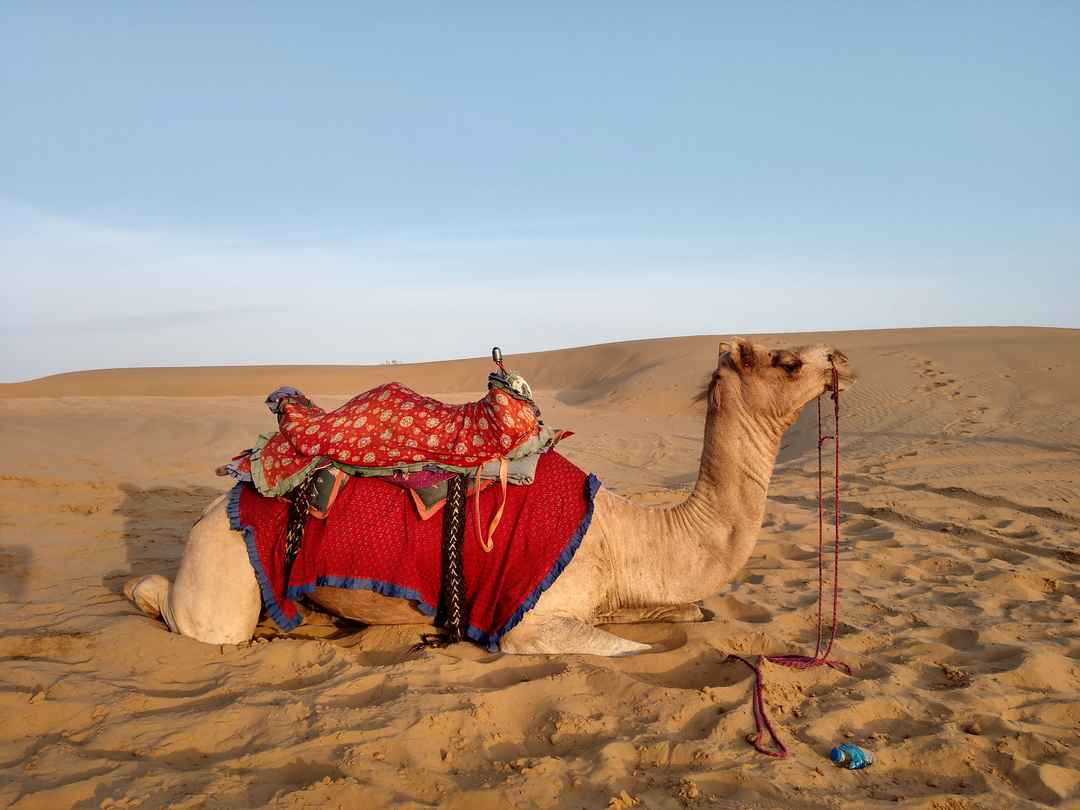jaisalmer tour package