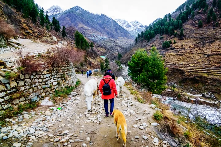 kasol kheerganga tour package